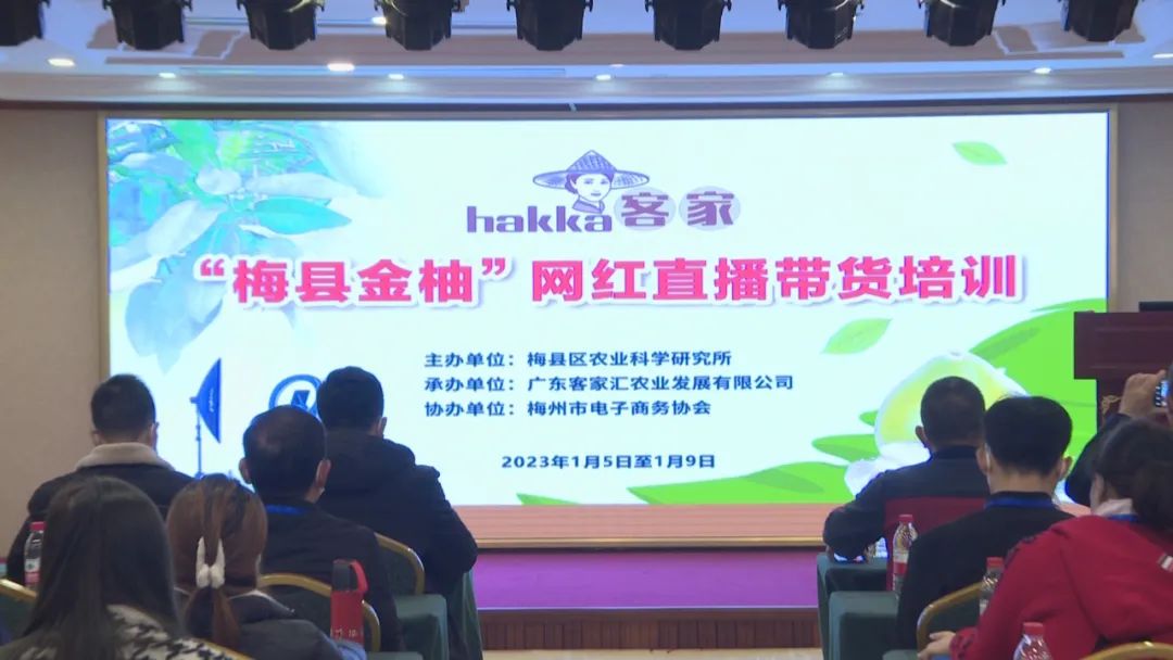 梅縣區(qū)開展“梅縣金柚”網紅直播帶貨培訓